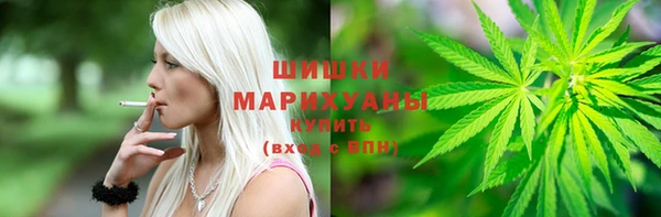шишки Покачи