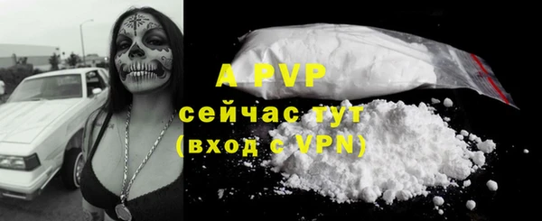 шишки Покачи