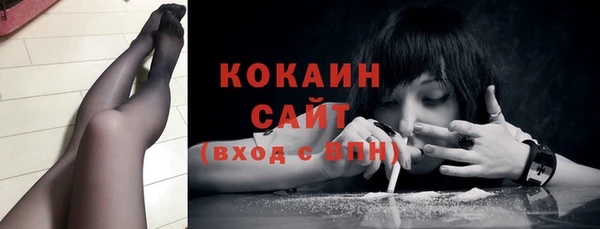 шишки Покровск