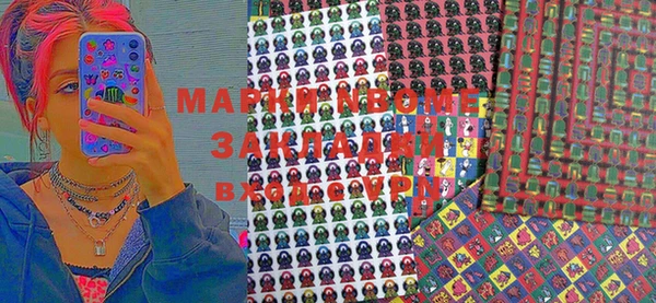 шишки Покачи