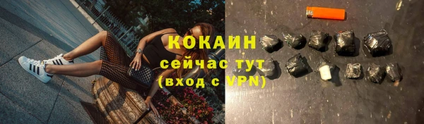 шишки Покровск