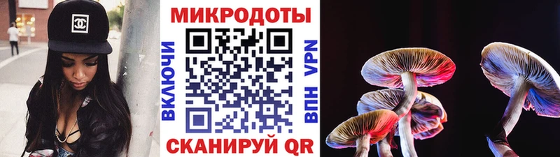 Галлюциногенные грибы мухоморы  Лобня 