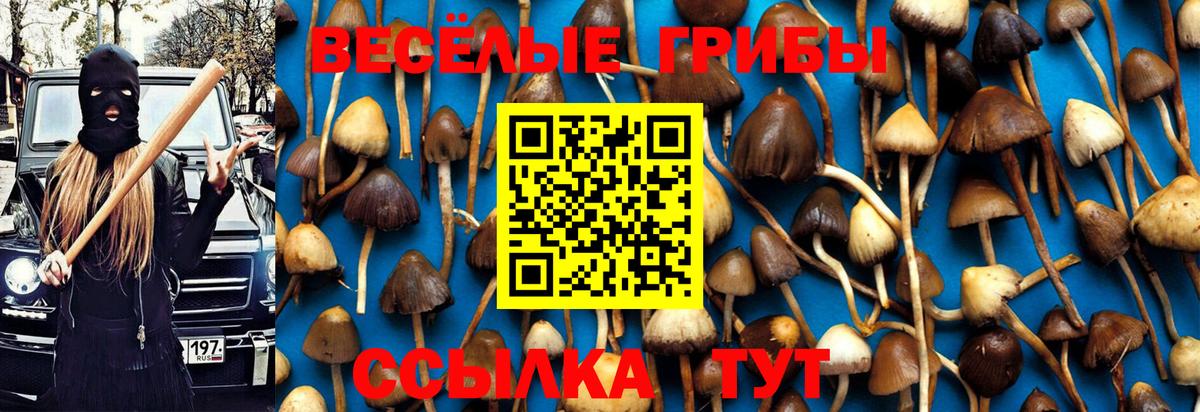 Псилоцибиновые грибы прущие грибы  как найти закладки  Лобня 