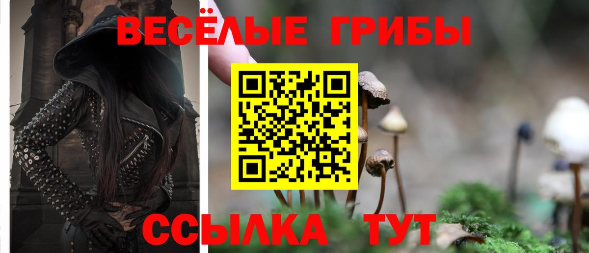 Псилоцибиновые грибы мицелий Лобня