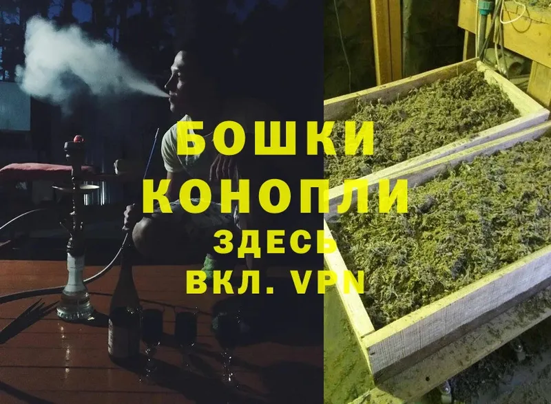 Бошки Шишки White Widow  Лобня 